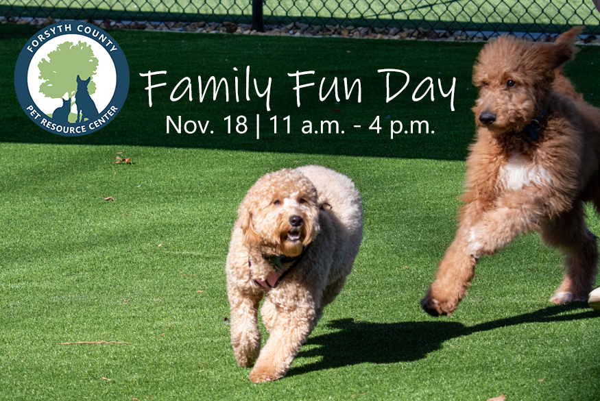family fun day graphic (1).png